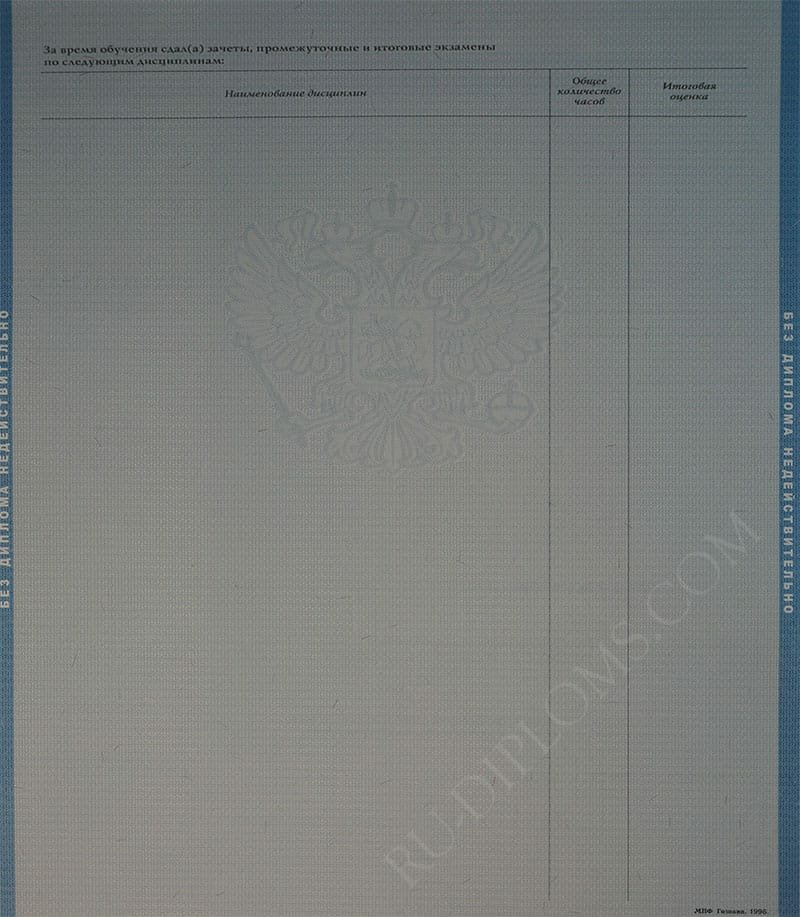 Диплом бакалавра 1997-2003 год  