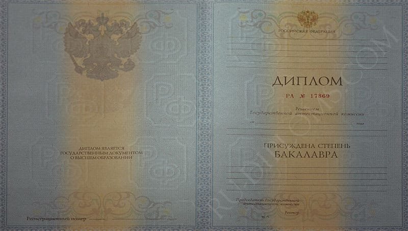 Диплом бакалавра 2010-2013 год  